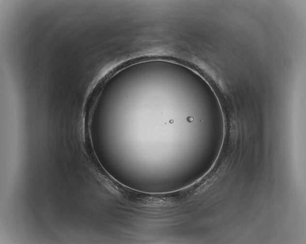 X0000113641270200909181449