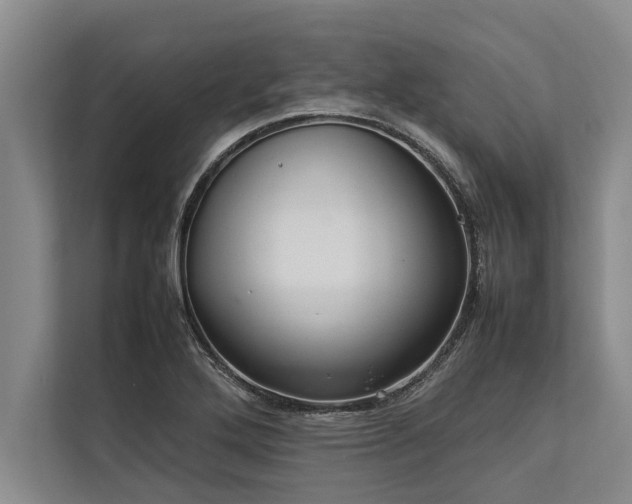 X0000113641272200909181449