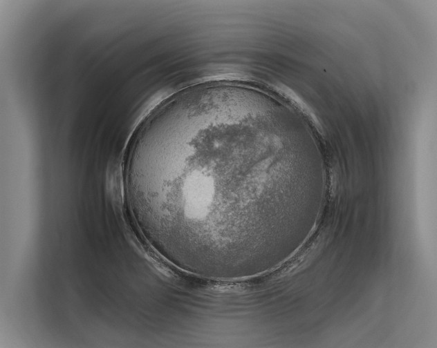 X0000113641274200909181449