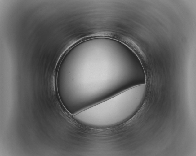 X0000113641276200909181449