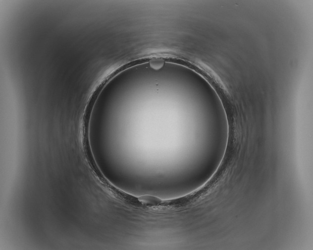 X0000113641277200909181449