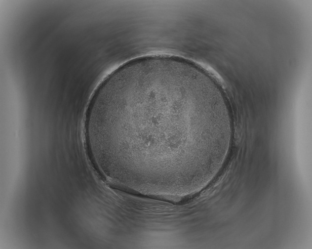 X0000113641279200909181449