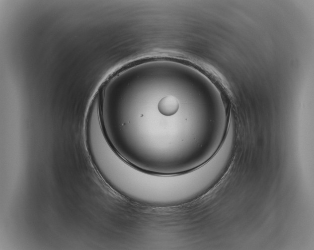 X0000113641280200909181449