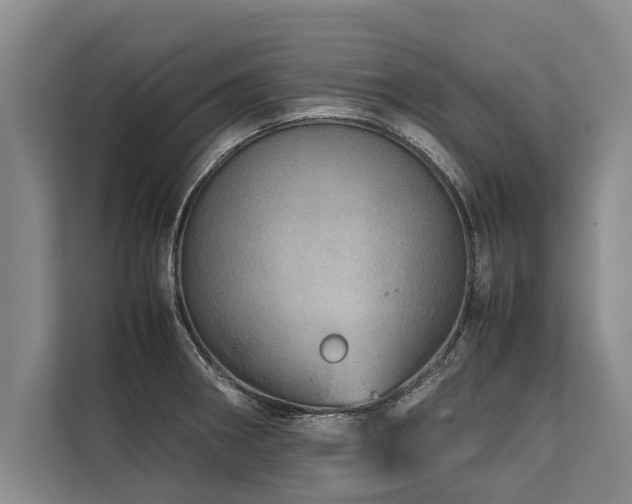 X0000113641282200909181449