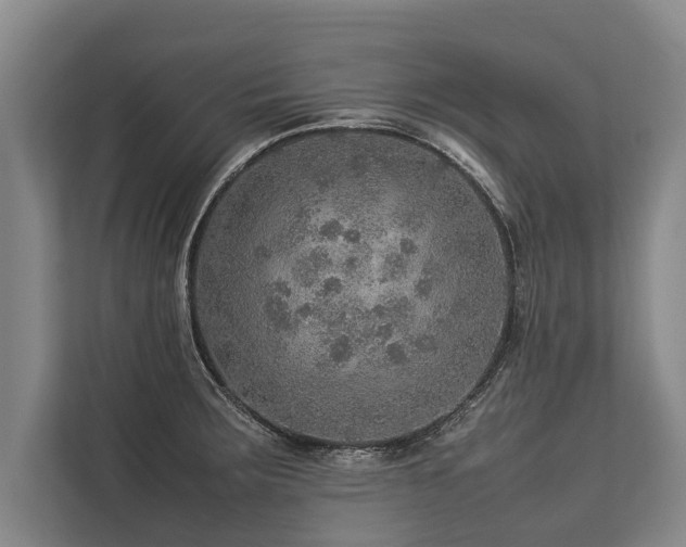 X0000113641283200909181449