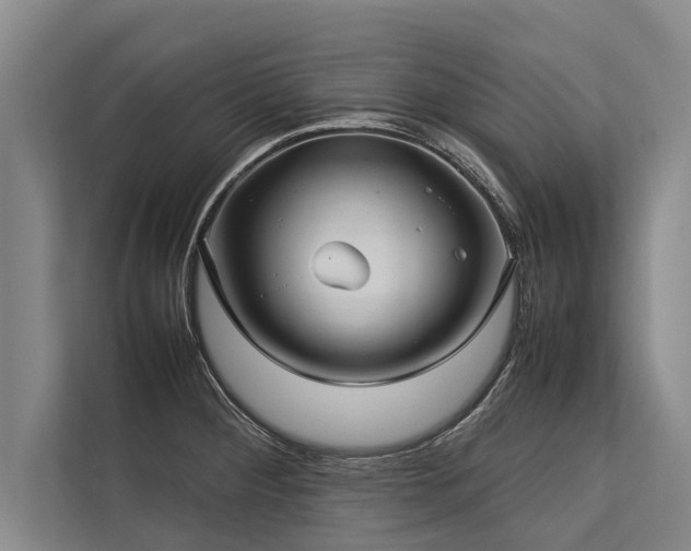 X0000113641284200909181449