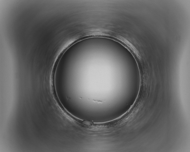 X0000113641285200909181449