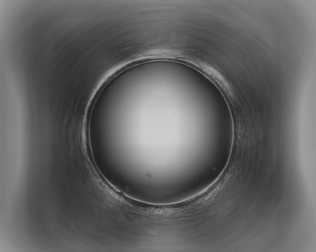 X0000113641288200909181449