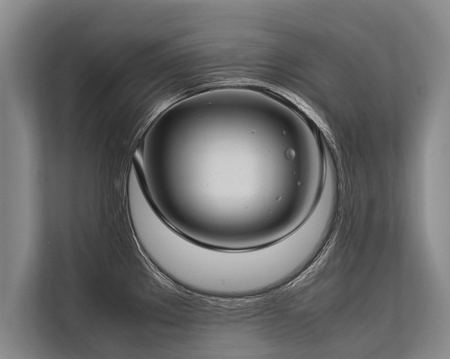 X0000113641289200909181449