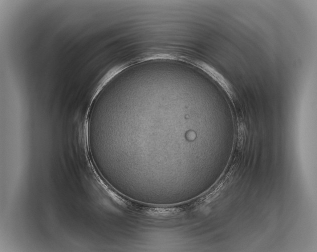 X0000113641290200909181449