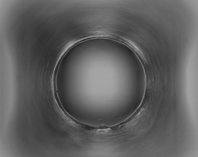 X0000113641291200909181449