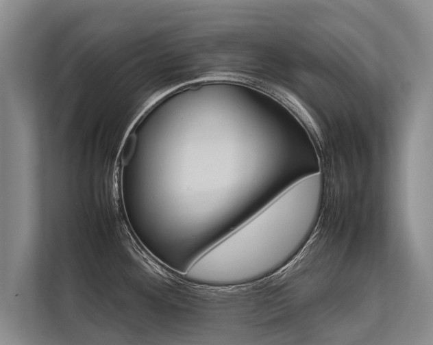 X0000113641292200909181449