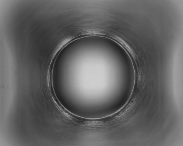 X0000113641293200909181449