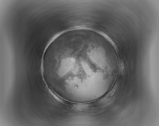 X0000113641294200909181449