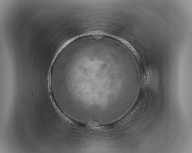 X0000113641295200909181449