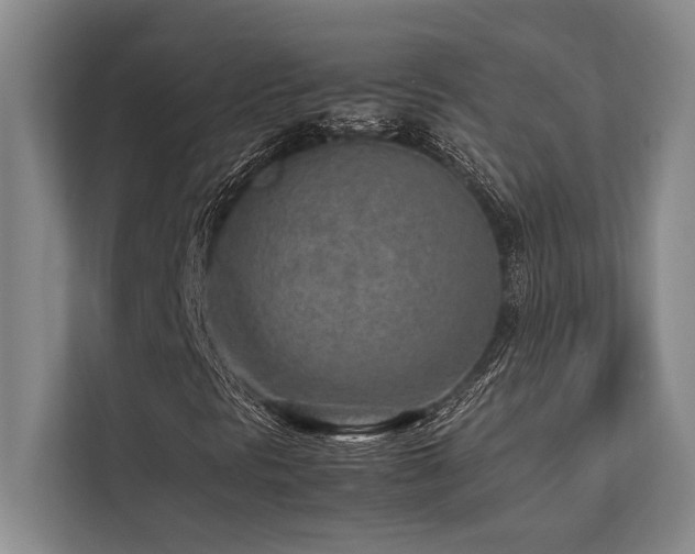 X0000113641297200909181448