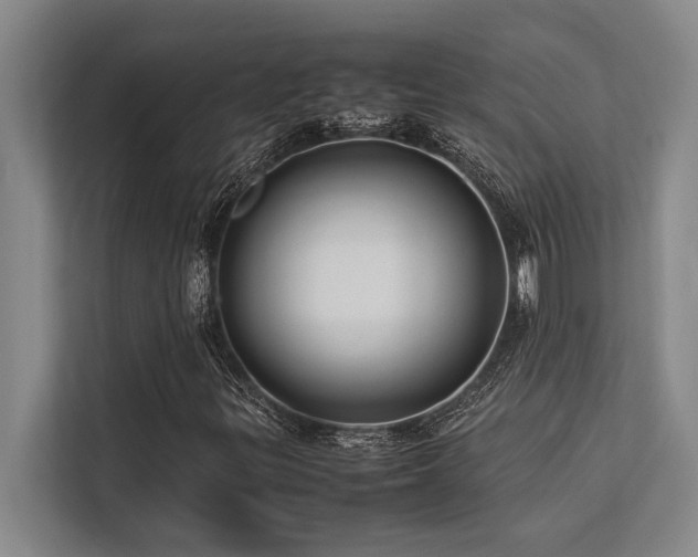 X0000113641299200909181448