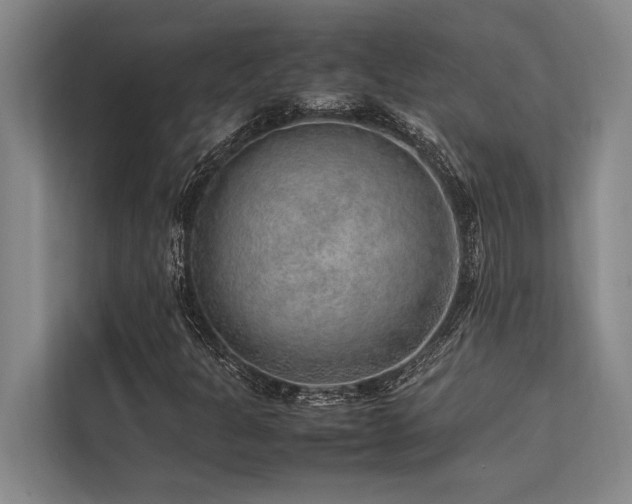 X0000113641301200909181448