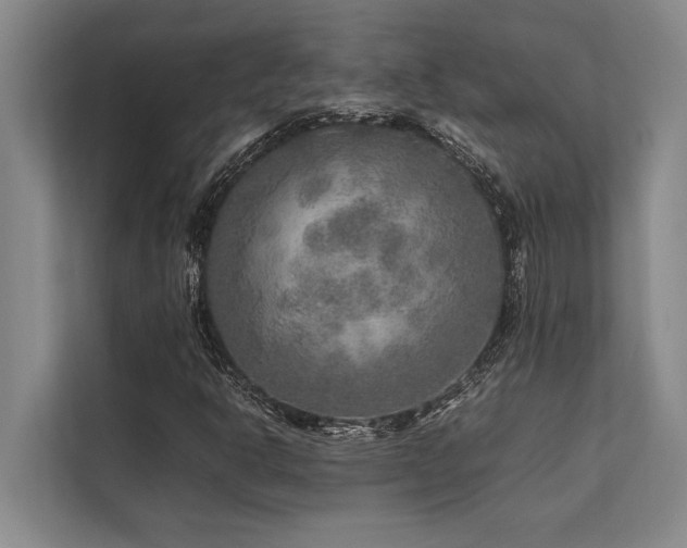 X0000113641302200909181448