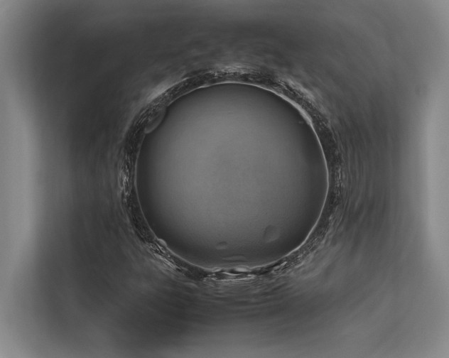 X0000113641303200909181448