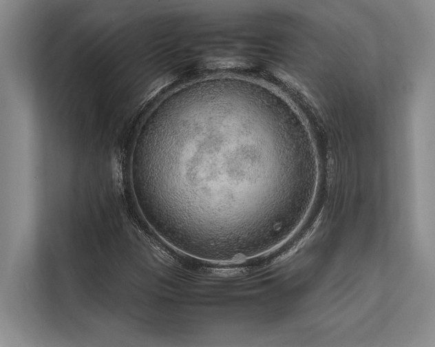 X0000113641305200909181448