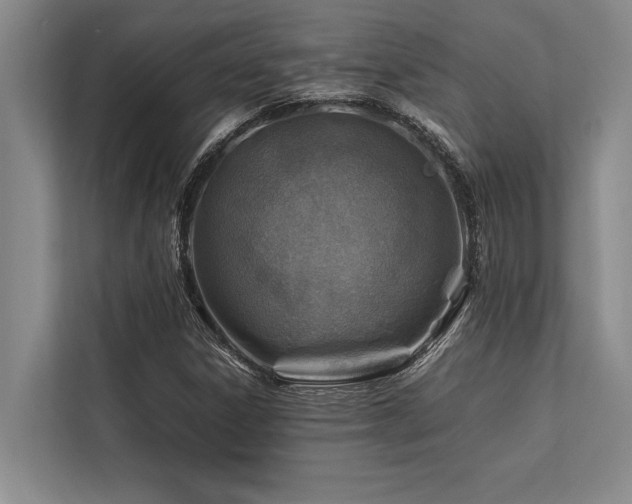 X0000113641306200909181448