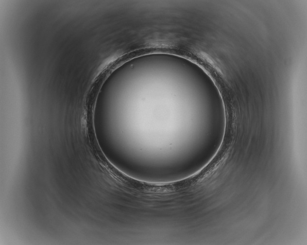 X0000113641307200909181448