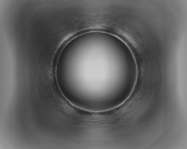 X0000113641308200909181448