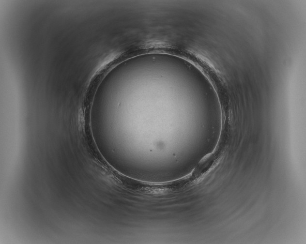 X0000113641309200909181448