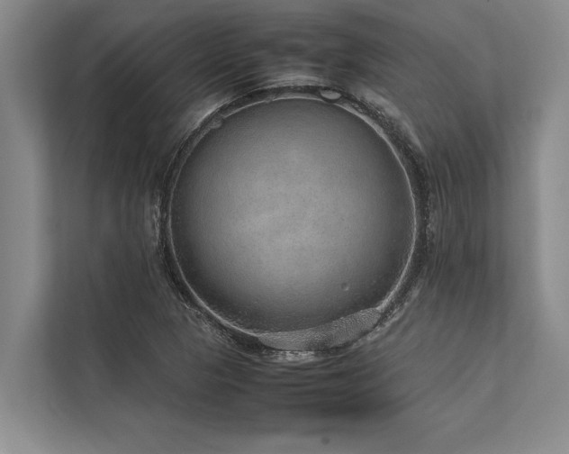 X0000113641313200909181448