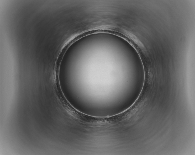 X0000113641316200909181449