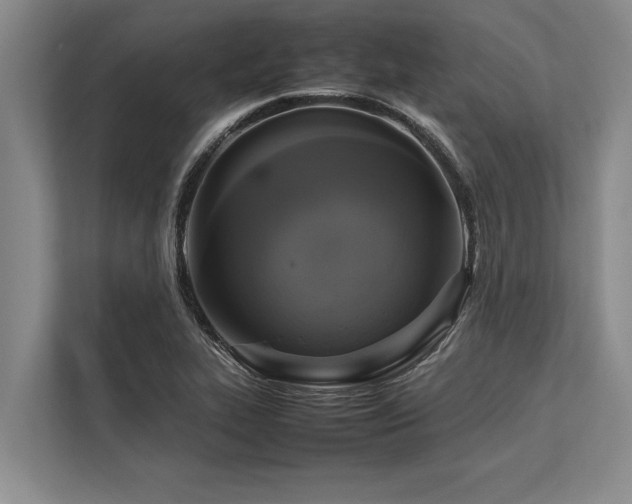 X0000113641319200909181449