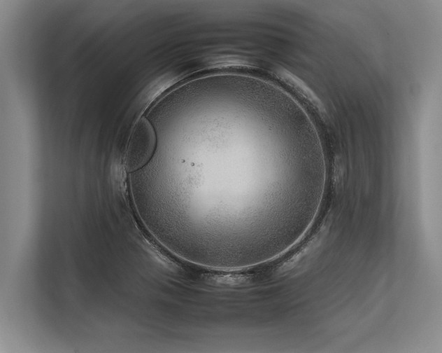 X0000113641321200909181449