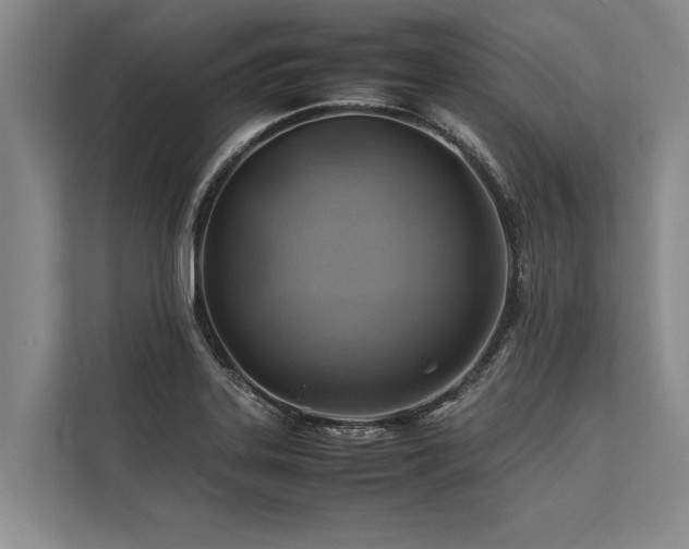 X0000113641323200909181449