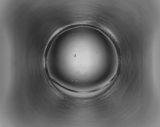 X0000113641324200909181449