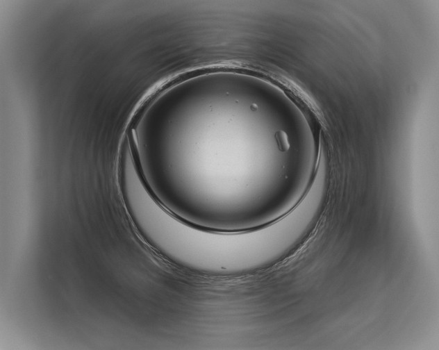 X0000113641332200909181449