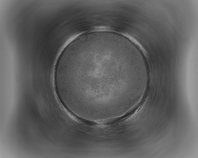 X0000113641333200909181449