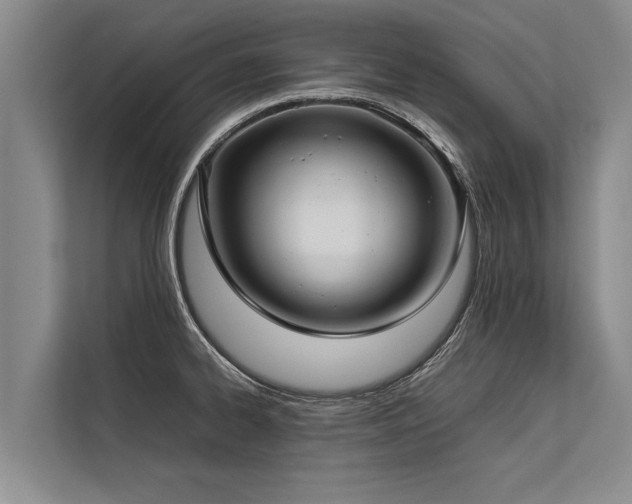 X0000113641334200909181449