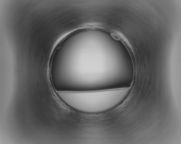 X0000113641336200909181449