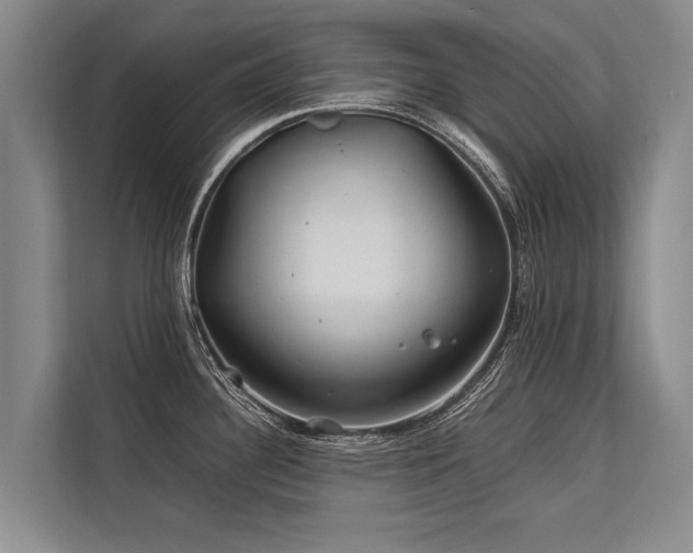 X0000113641340200909181449