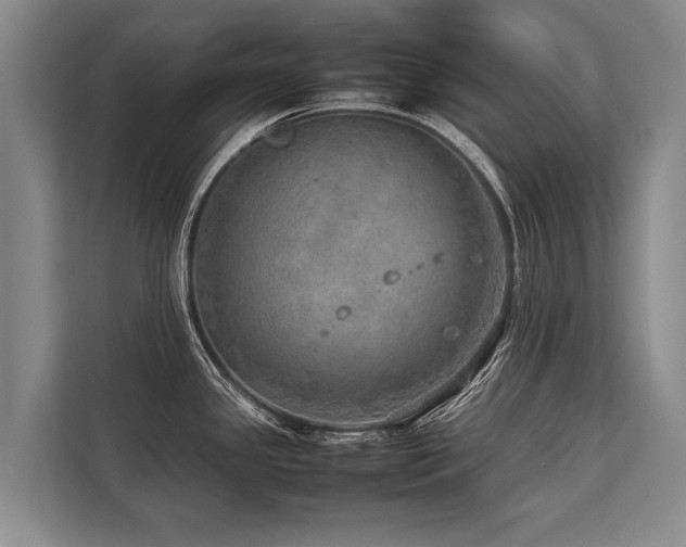 X0000113641341200909181449