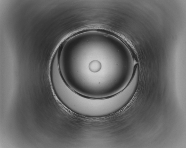 X0000113641342200909181449