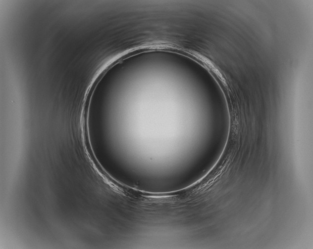 X0000113641343200909181449