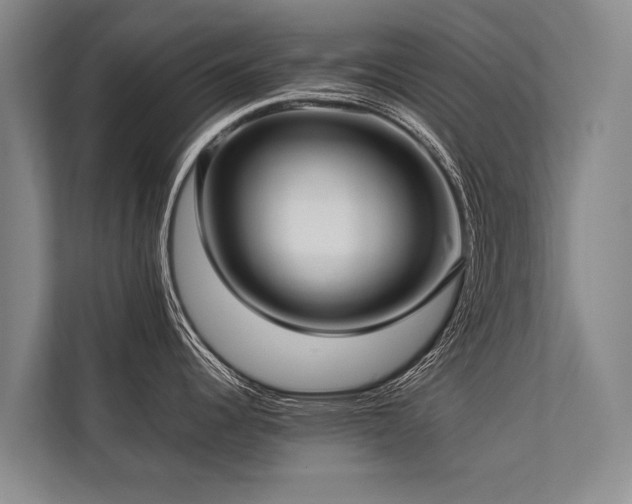 X0000113641344200909181449