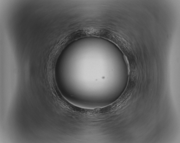 X0000113641345200909181448