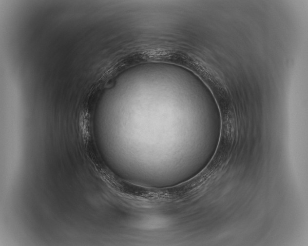 X0000113641346200909181448