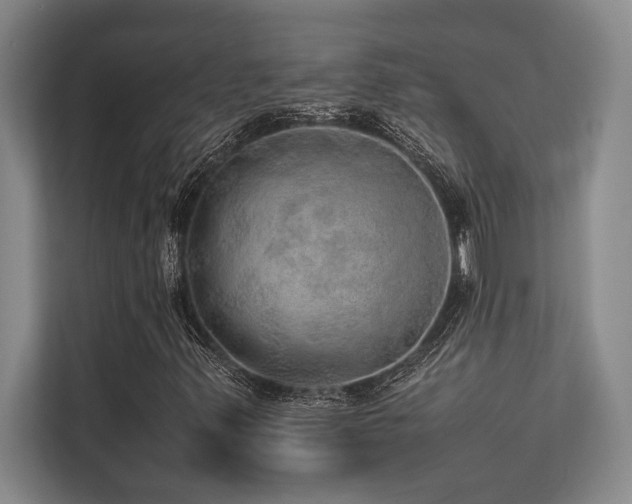 X0000113641347200909181448