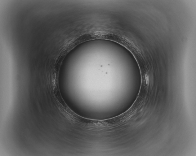 X0000113641348200909181448