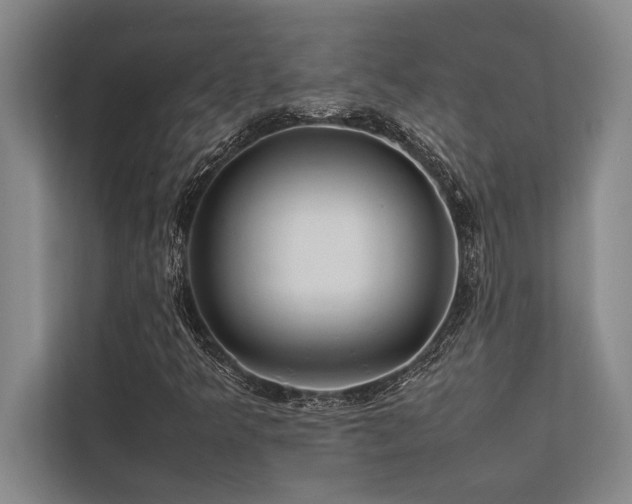 X0000113641349200909181448