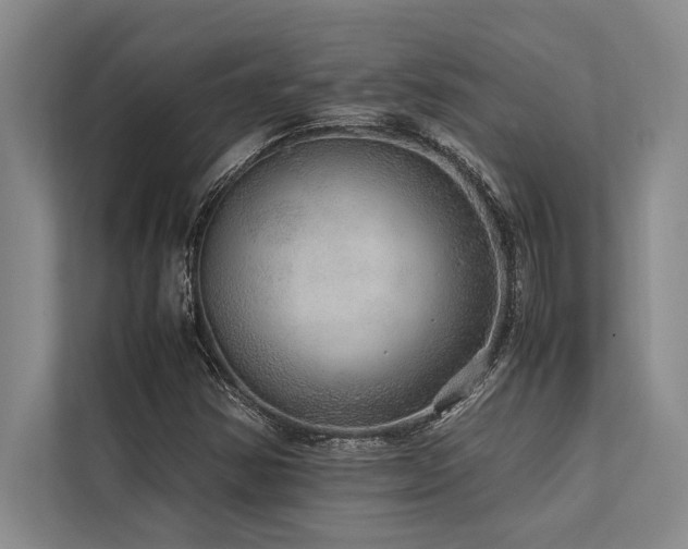 X0000113641354200909181448